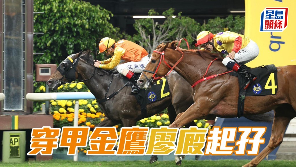 「穿甲金鹰」廖厩起孖