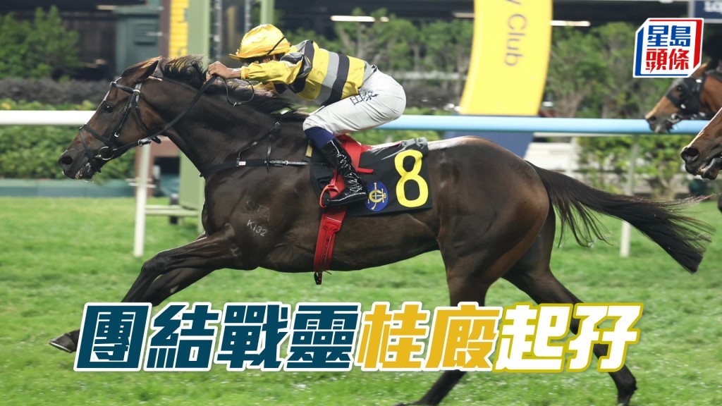 「團結戰靈」桂廄起孖