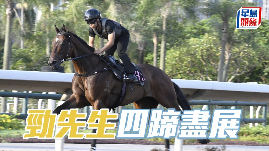 「勁先生」神態昂揚蓄勢待發。