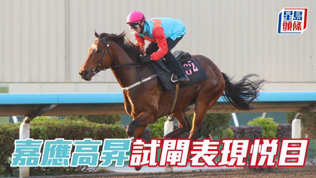 「嘉应高升」今晨在沙田参加试闸，凭强劲走势率先冲线，表现悦目。