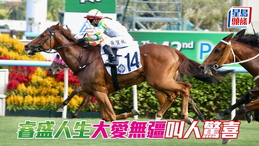 「睿盛人生」一出即勝,捧走樂聲盃。