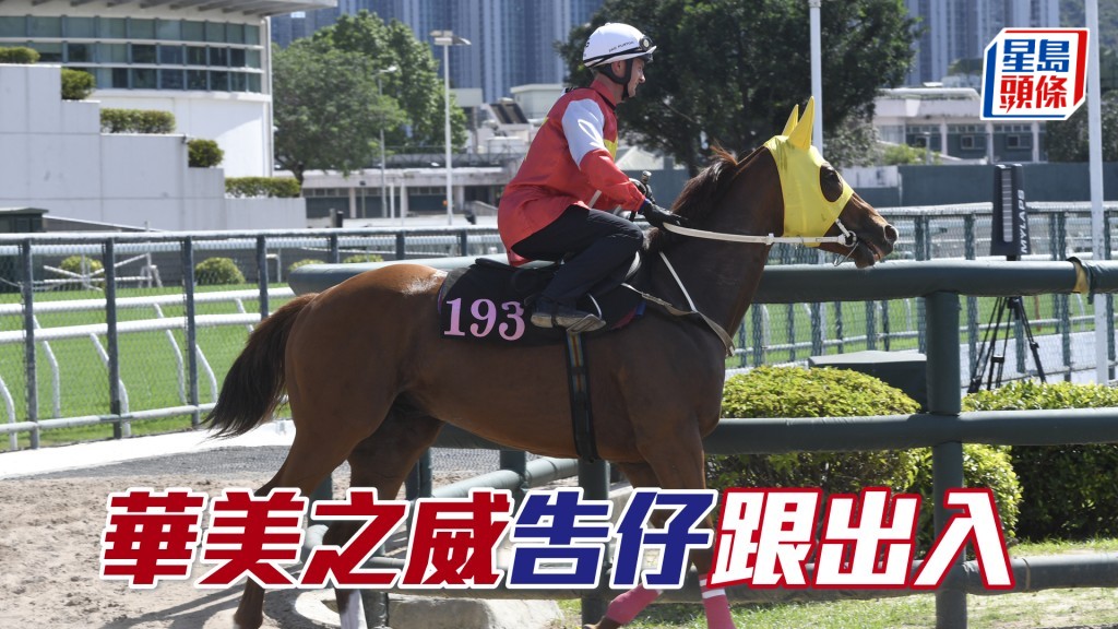 「華美之威」首次落到五班，更落在弱組可以話形勢大好。