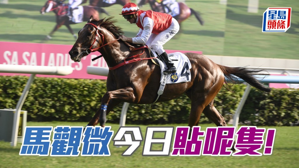 「弦力宝」势头浩翰