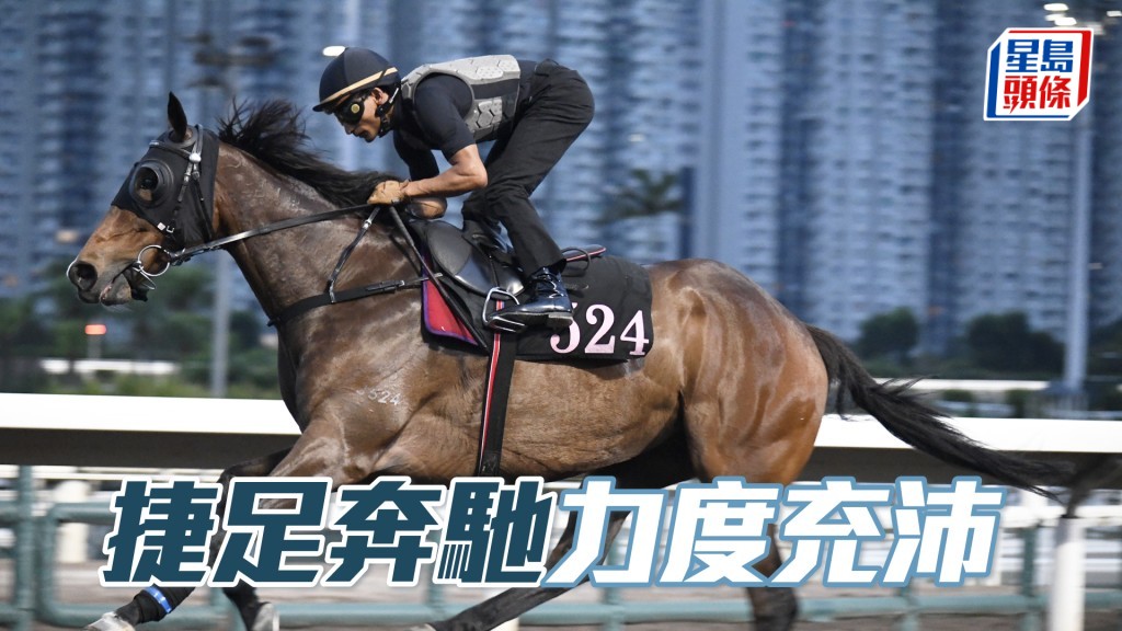 「捷足奔馳」馬身保持壯健，神采奕奕近況出色。
