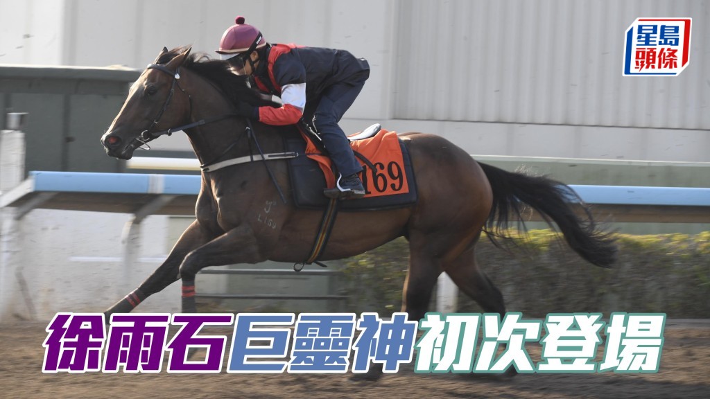 今期沙田赛事，石厩的「巨灵神」(图) 在港初次登场，马名甚有气势，说不定今场在港首战已有计。