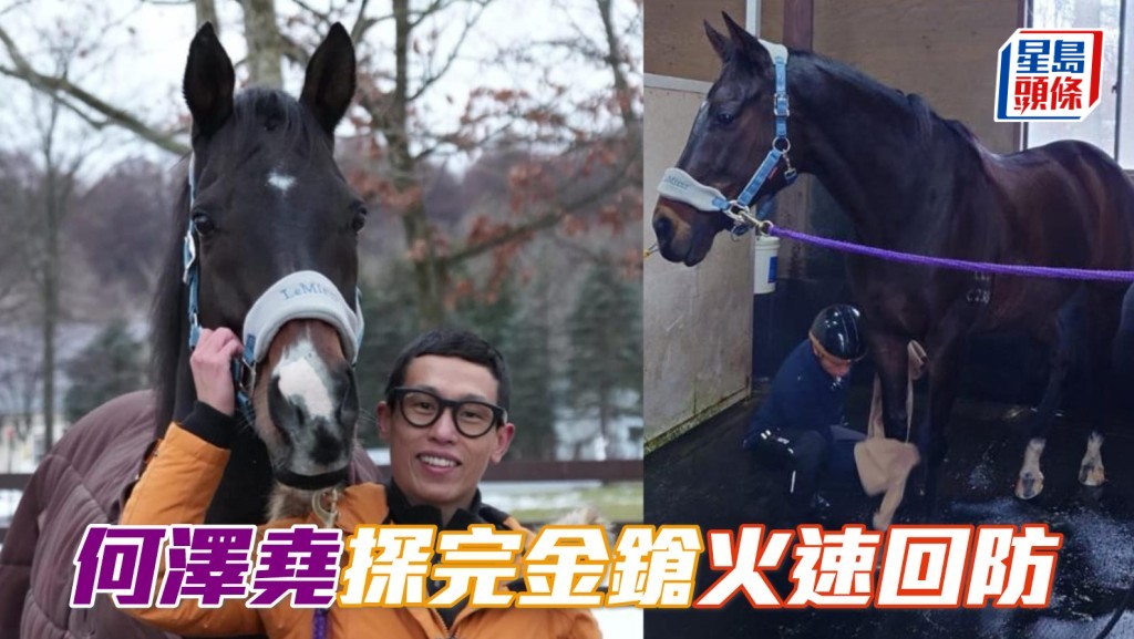 何澤堯臨上機回香港前，特意再去北方牧場探望「金鎗六十」，隨即火速回防參加元旦賽日。