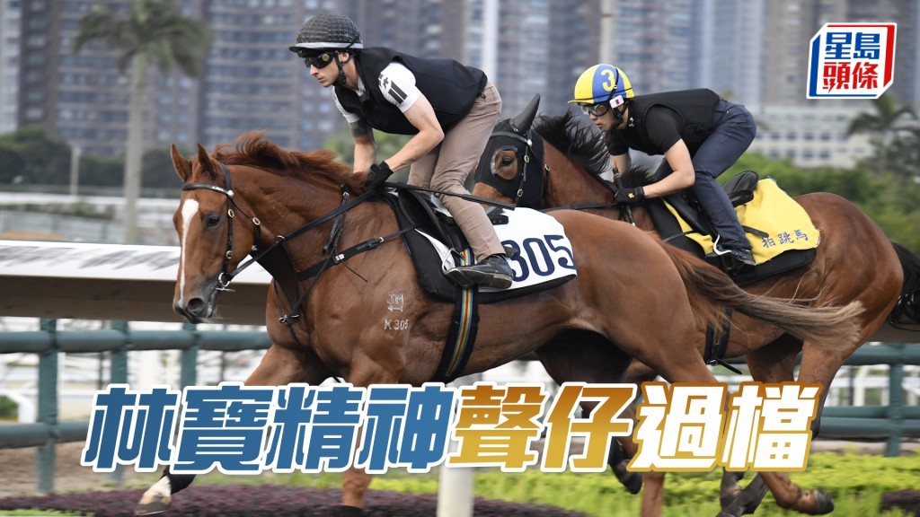 「林寶精神」今朝出跳指定霍宏聲過檔摸熟馬性。