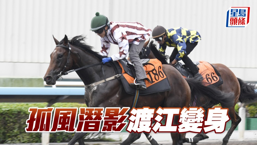 「孤風潛影」上仗票如雨下即所負不遠，渡江提防變身。