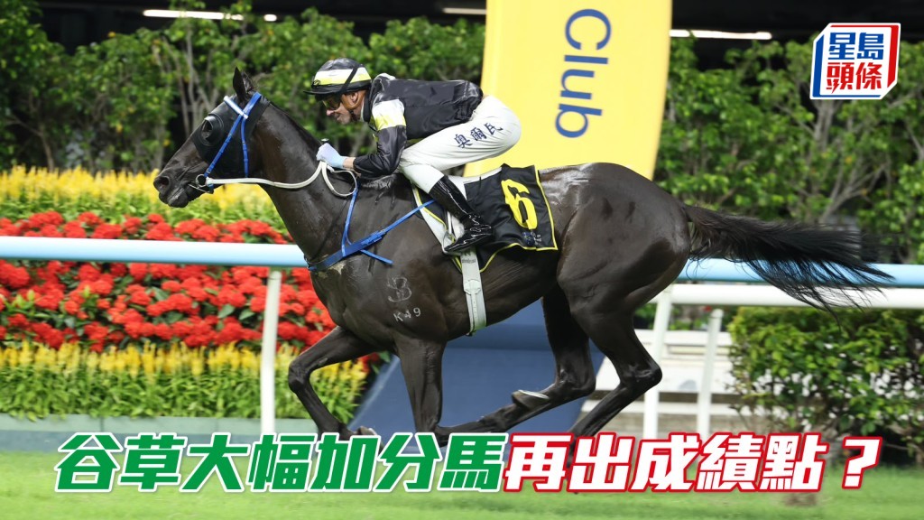 楊駿數據｜谷草大幅加分馬再出成績點？