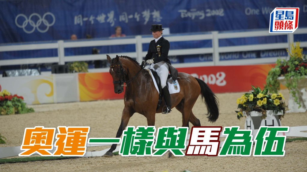 與馬匹有關的奧運項目當然是「馬術」，包括個人和團體盛裝舞步賽、個人和團體三項賽，以及個人及團體場地障礙賽，合共六個小項，而所有小項均不限性別。