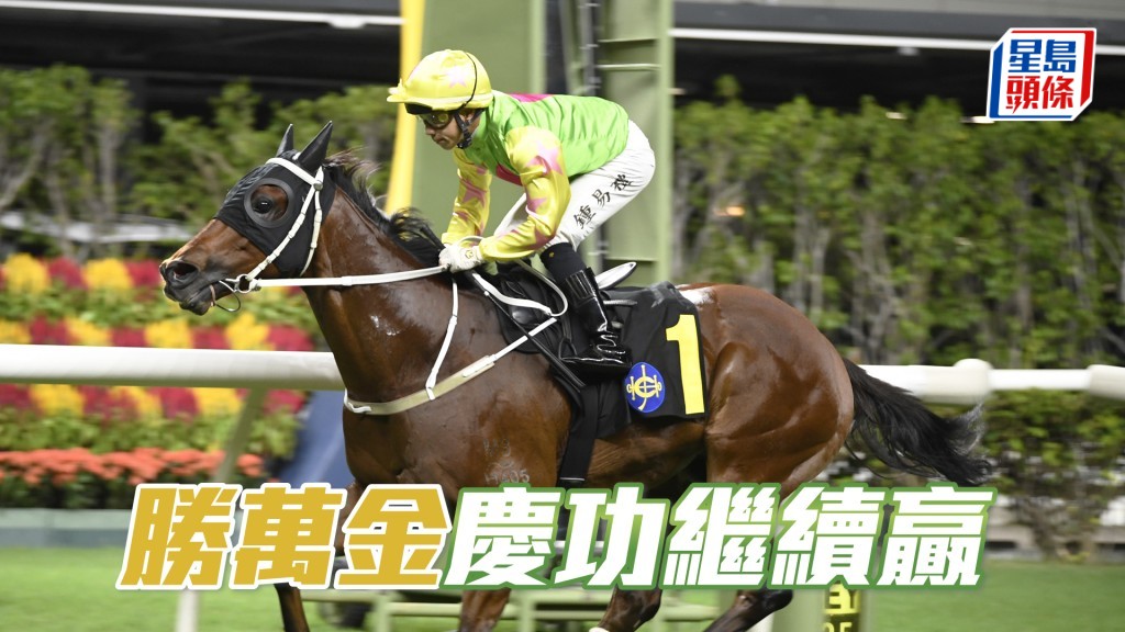 「勝萬金」明晚將出爭第七場三班一千米。