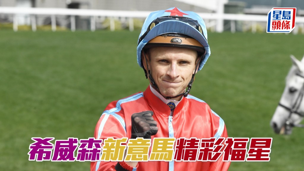 希威森明晚谷戰共有七匹坐騎。