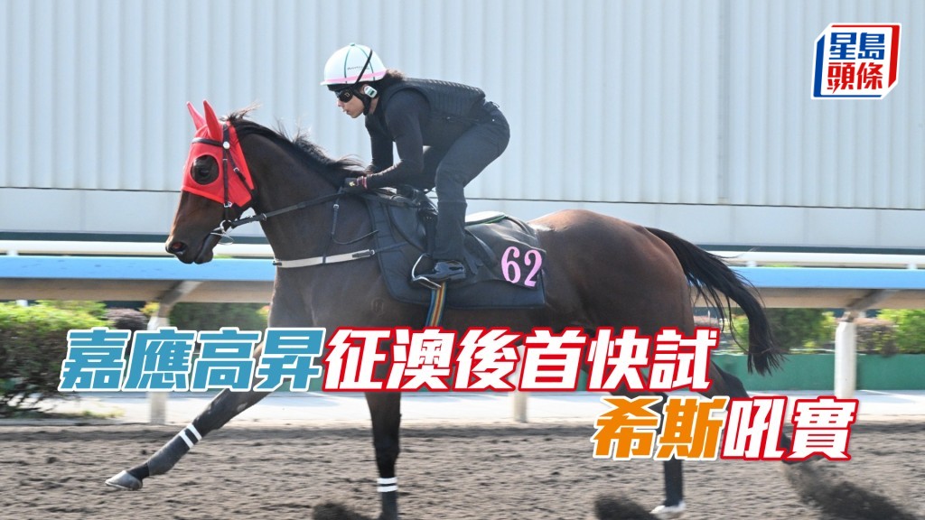 「嘉应高升」由澳洲回港后，首次在大圈出跳。