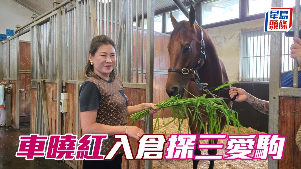 車曉紅入倉探望三愛駒 相片來源：廖康銘Facebook