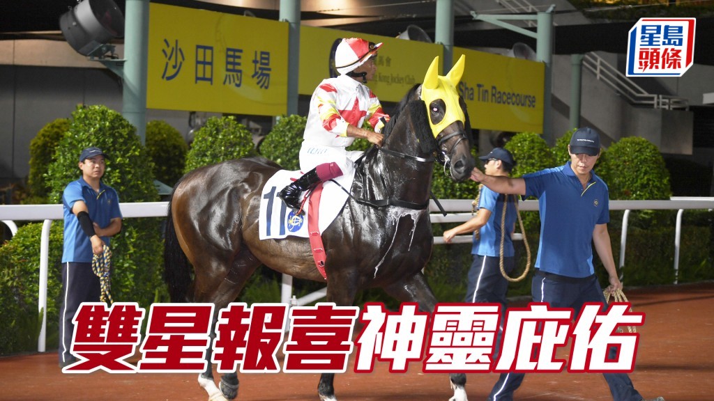 「双星报喜」明日季内初出跑第十场三班千四米。