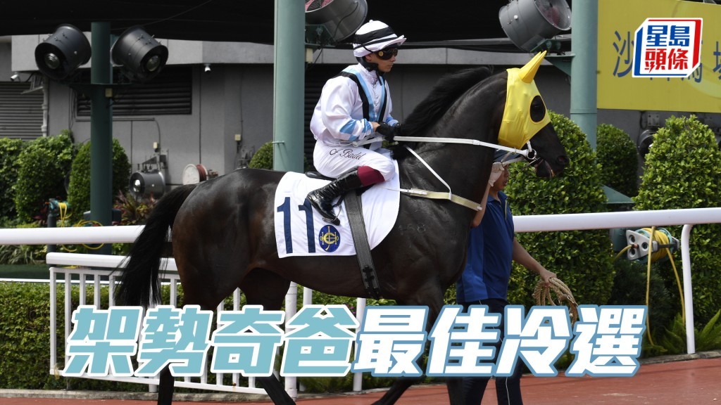 「架勢奇爸」今次排外檔,但主要對手多是後追馬,估計有機會切入二疊,不難再上名。