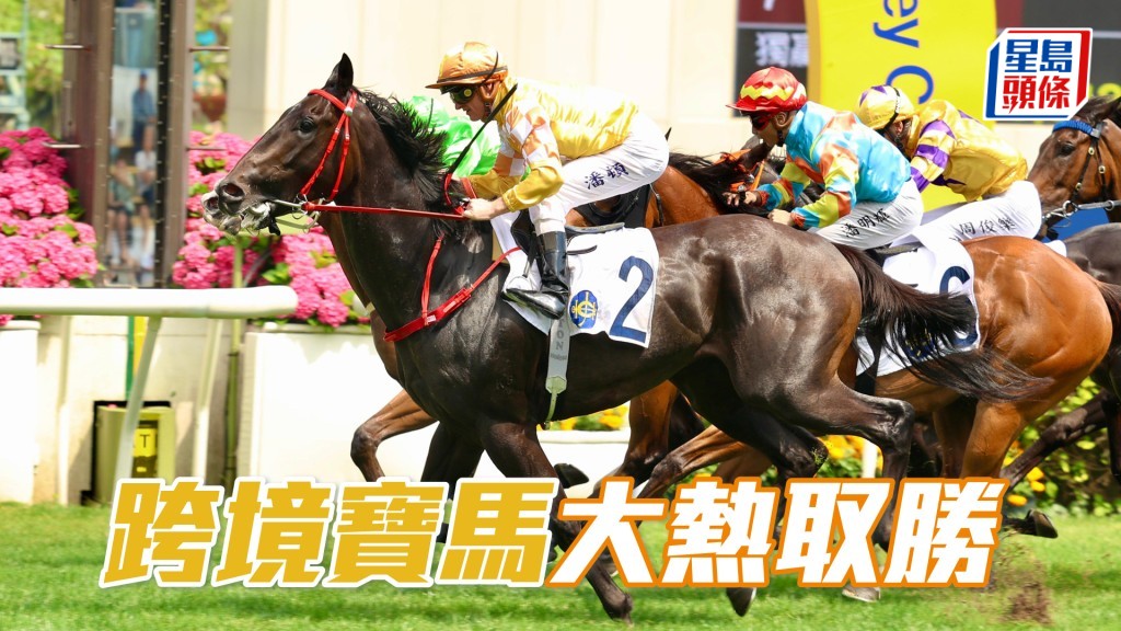 「跨境寶馬」大熱取勝