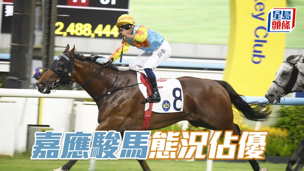 「嘉應駿馬」態況佔優