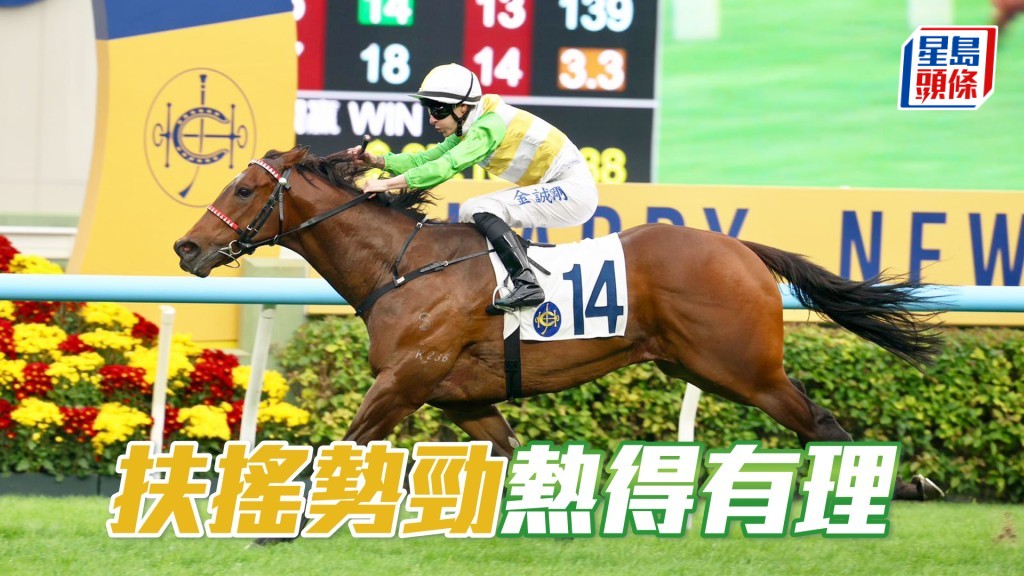 「扶搖勢勁」近績優貫，今場對手無多，熱都要捧。