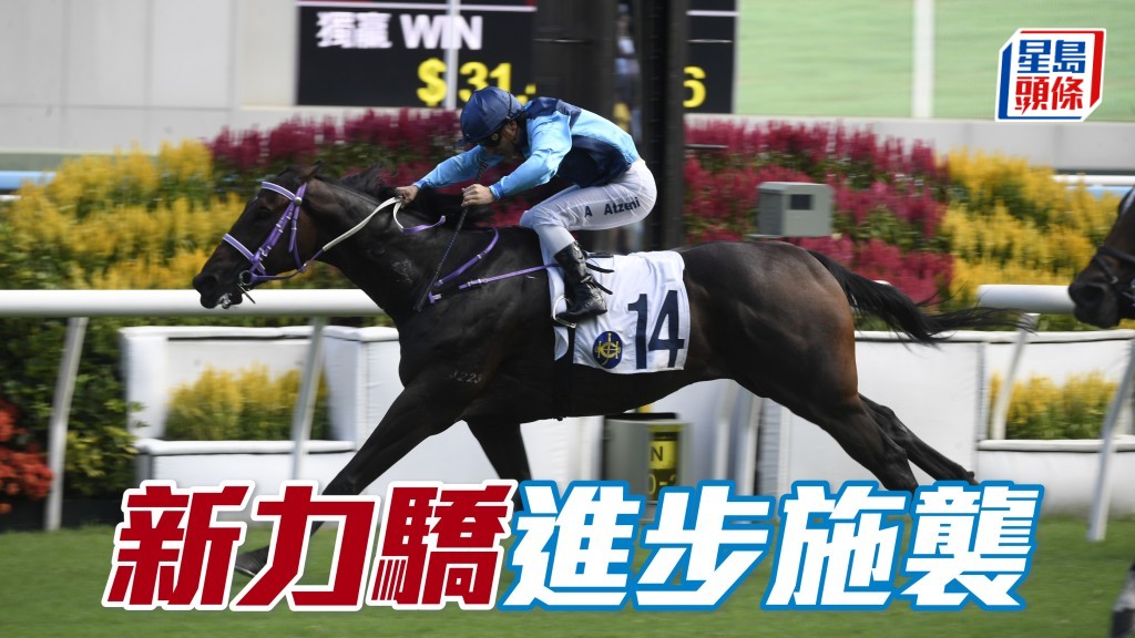 「新力骄」上仗可跟在较前位置，可见有进步，今场快马颇多，有权突袭。