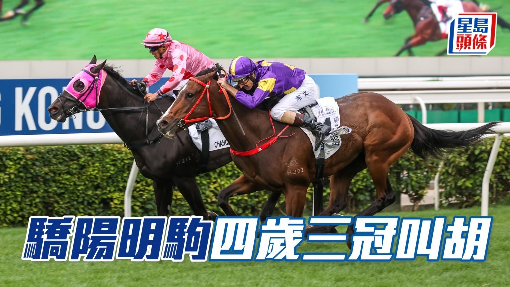 「驕陽明駒」再下一城 揚威香港經典盃。