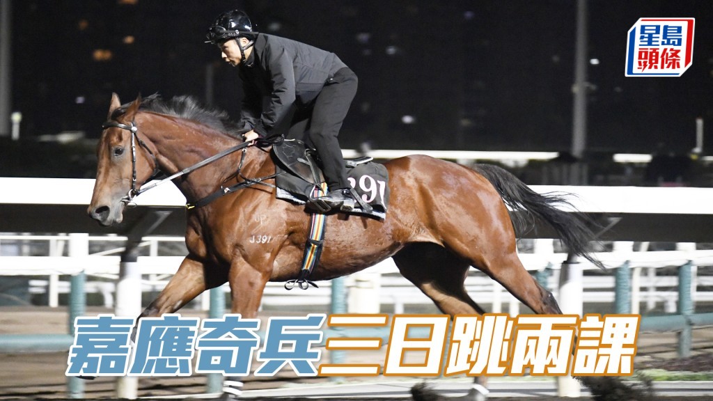 「嘉应奇兵」今仗回配最佳拍档潘明辉。