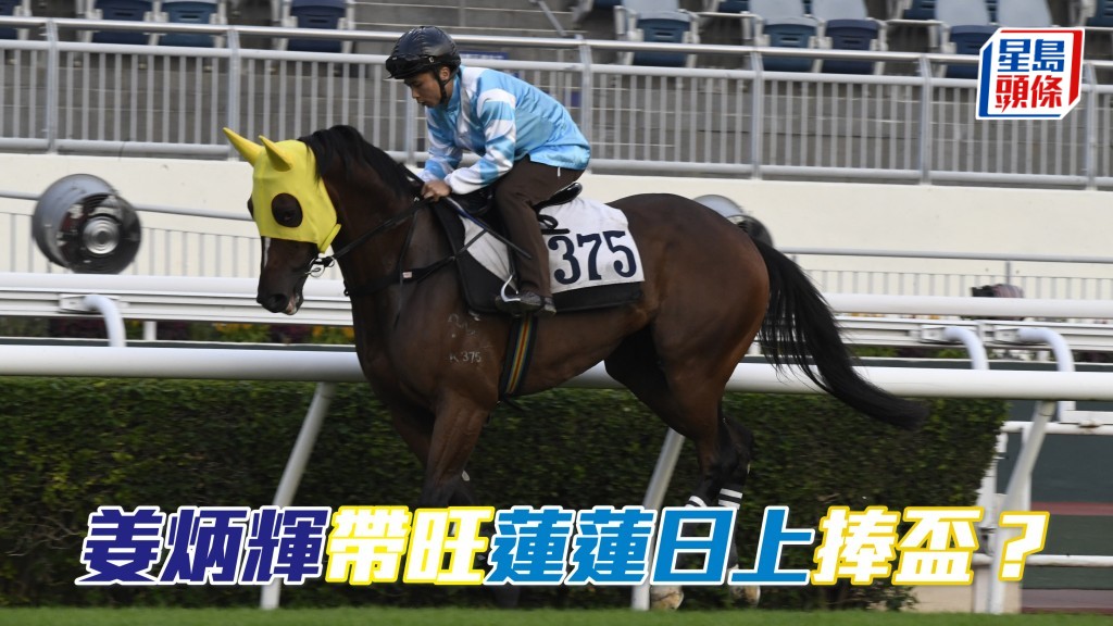 姜炳輝的生力軍「蓮蓮日上」(畾)將初次登場，出爭第五場四班千二米博愛盃。