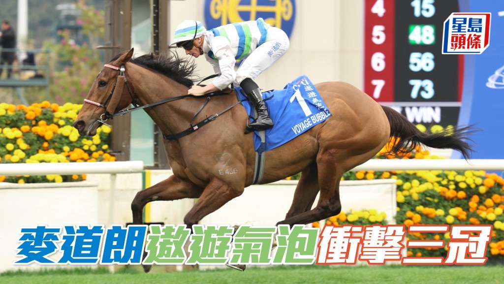 如果「遨遊氣泡」(圖) 周日一戰功成,可望繼馬王「翠河」,於三十一年後,香港賽馬史上再出一匹三冠王。