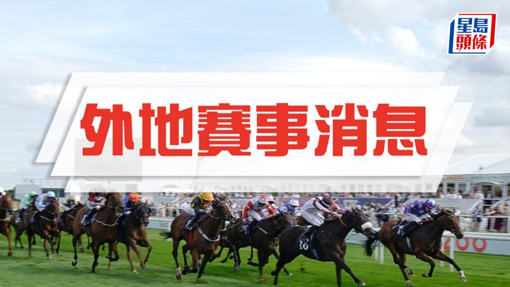 阿布扎比初辦金盃，百萬美金招徠良駒。