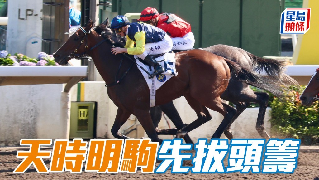 「天時明駒」先拔頭籌