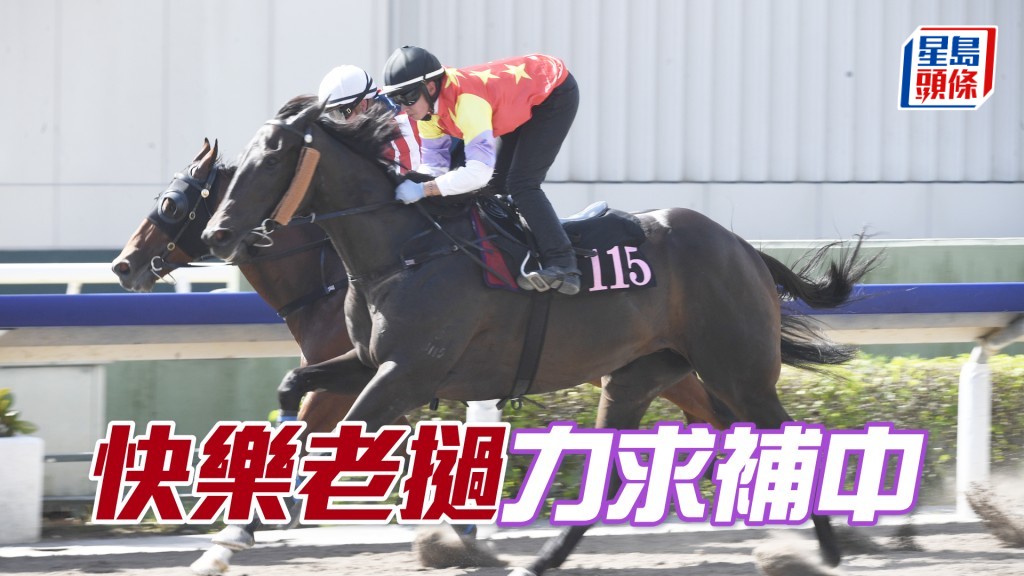 「快乐老挝」上仗冲刺时受阻，今次原班人马重来可交代。