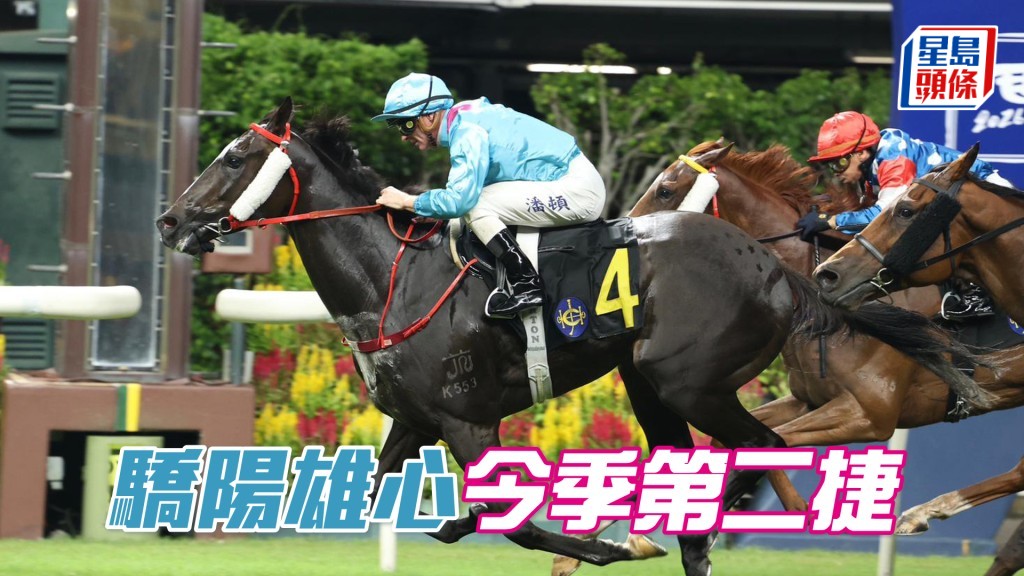 「驕陽雄心」今季第二捷