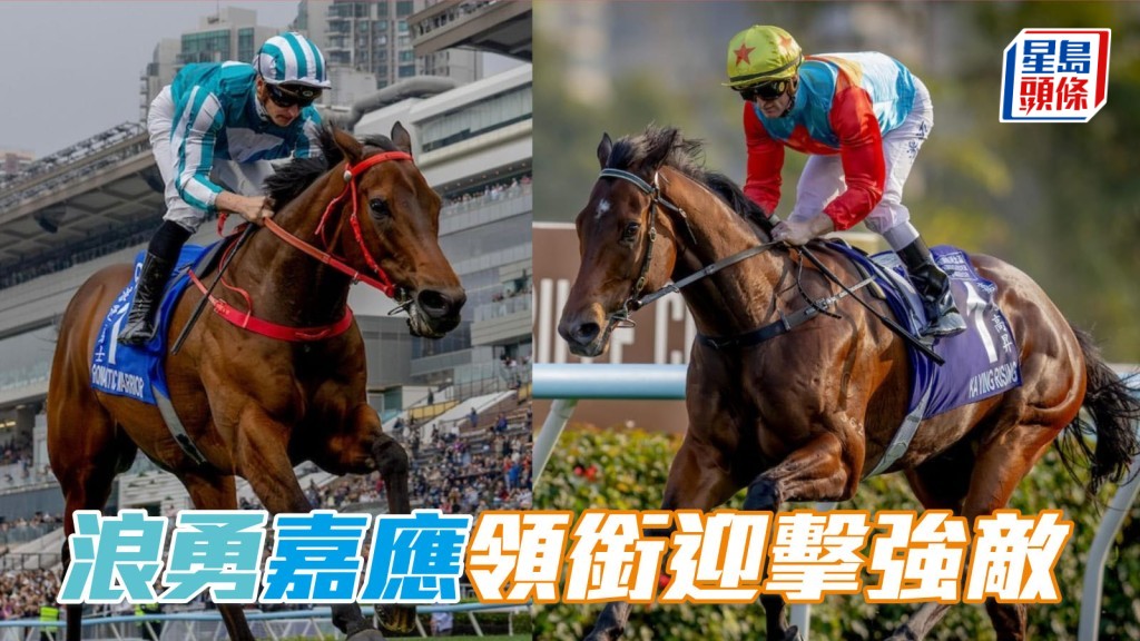 富卫保险冠军赛马日│「嘉应高升」(右)、「浪漫勇士」(左) 领衔迎击「格伦岛」、「蒙面舞会」及「博物街」