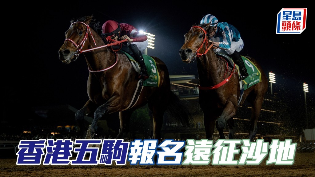 沙特盃賽馬日的各場大賽，香港共有五駒報名，包括香港首匹遠征沙特的賽駒「浪漫勇士」(近) 。