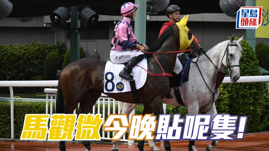 「龍文鞭影」道明來意