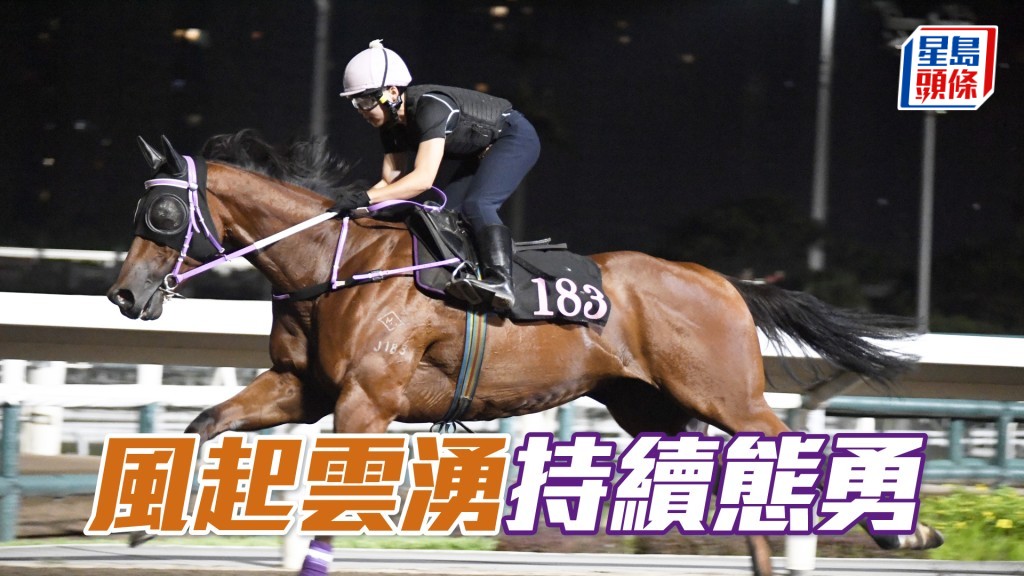 「风起云涌」心火旺盛但无汗湿，马身依然靓神态昂扬。