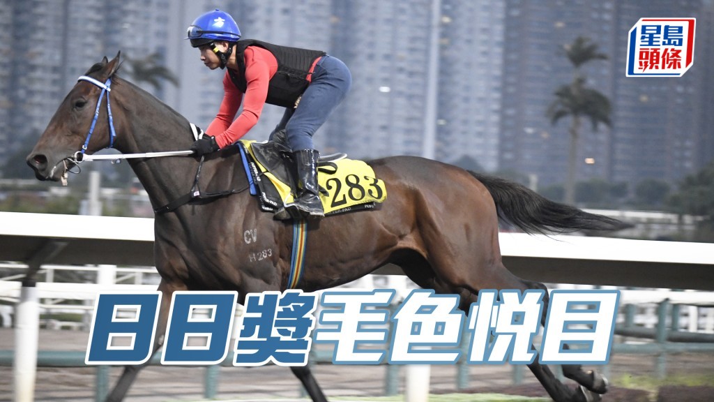 「日日奖」清风送爽完成，观感不逊赢马时。