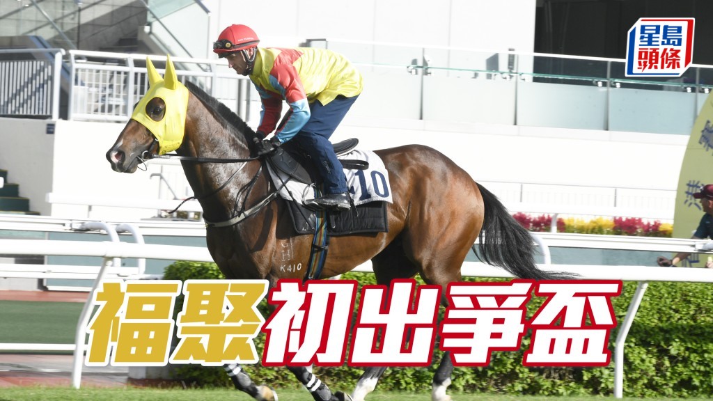 「福聚」明日將出爭第五場四班千二米仁濟盃。