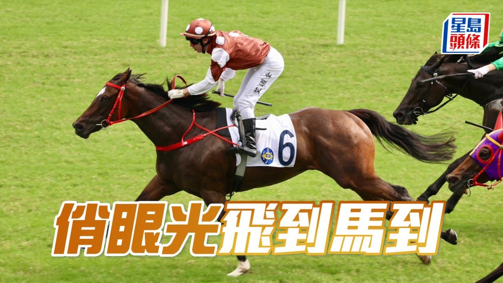 「俏眼光」飛到馬到