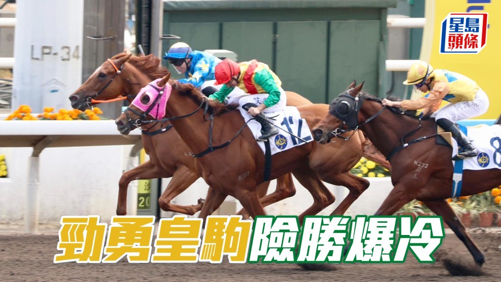 「勁勇皇駒」險勝爆冷