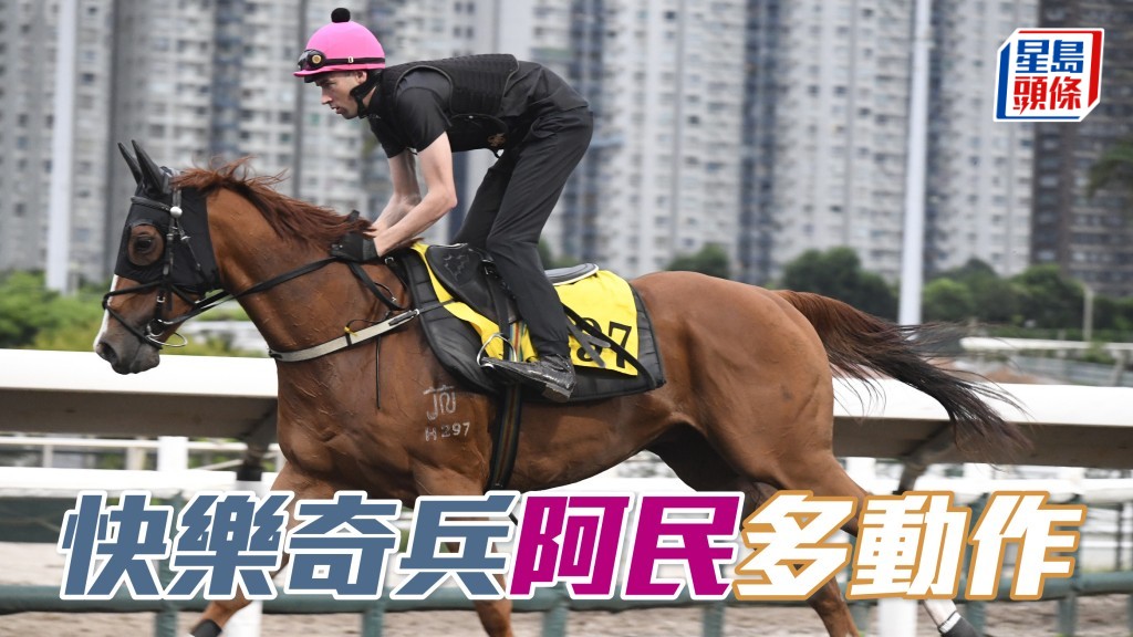 奧爾民今早試「快樂奇兵」(圖)，全程要緊韁扣實，火氣相當之好。