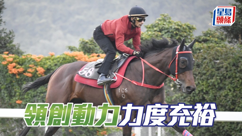 「領創動力」馬身實淨毛色潤澤，仍在勇境無走樣。