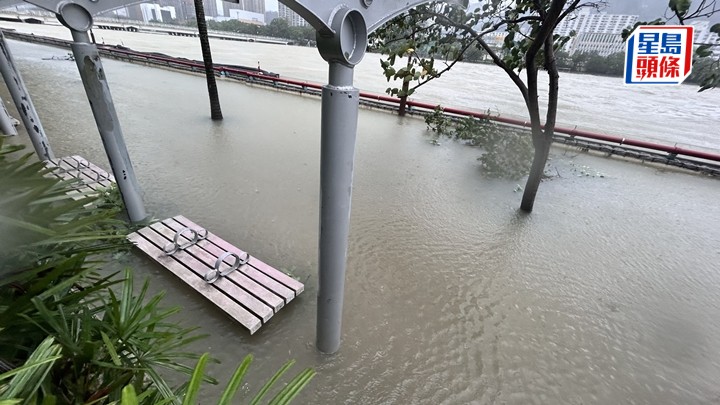 沙田城門河水位暴漲淹浸行人路。蔡楚輝攝