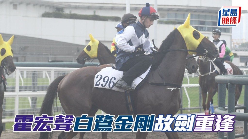 霍宏声「白鹭金刚」故剑重逢