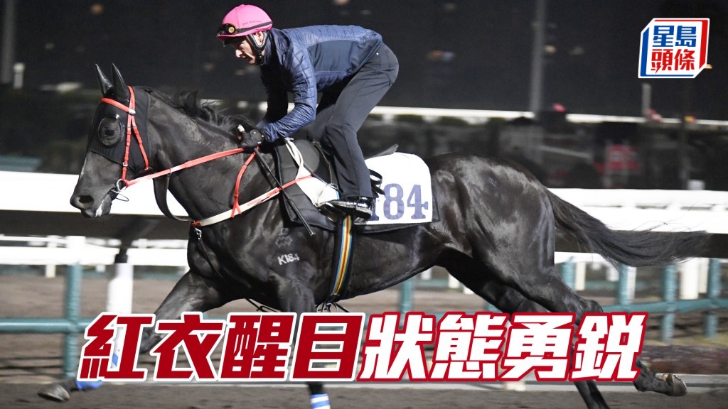 「紅衣醒目」前腳開得闊夠直，後腿推動力強，神采飛揚。