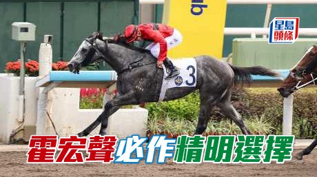 霍宏聲必作精明選擇