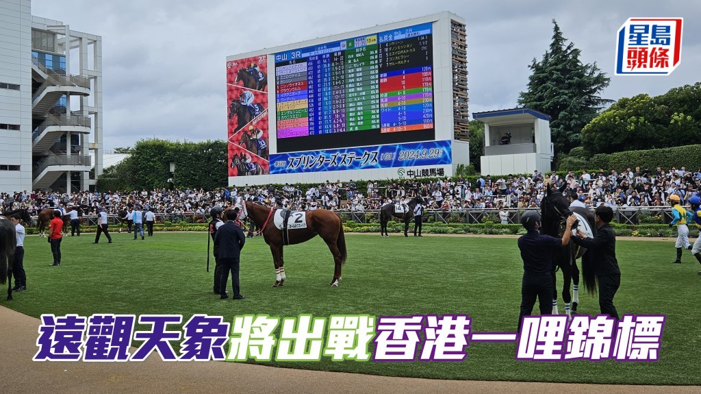 日本賽馬團體Shadai Thoroughbred Club宣布，旗下的三歲馬「遠觀天象」，將競逐香港一哩錦標。