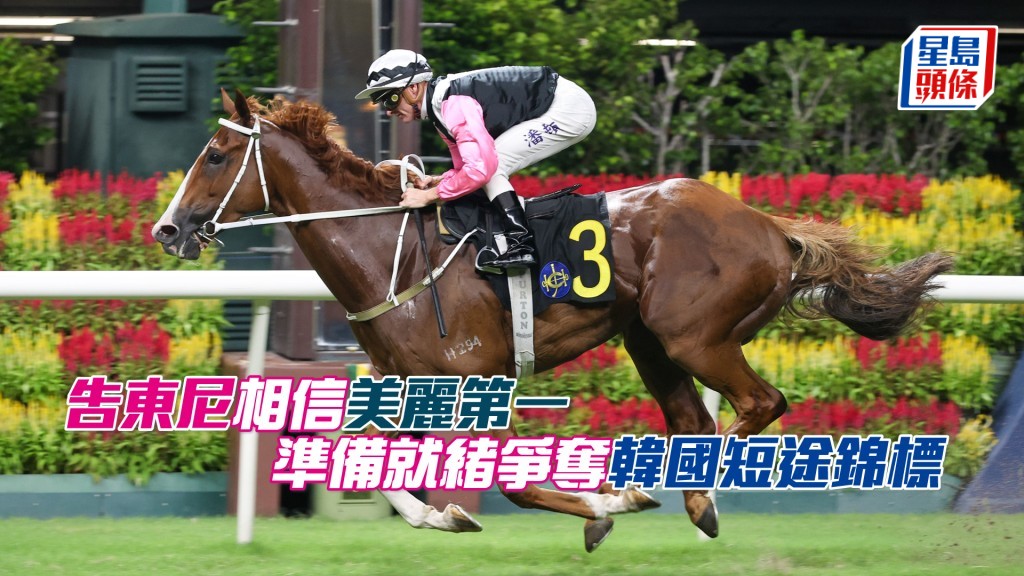 「美麗第一」迄今在港取得七勝。