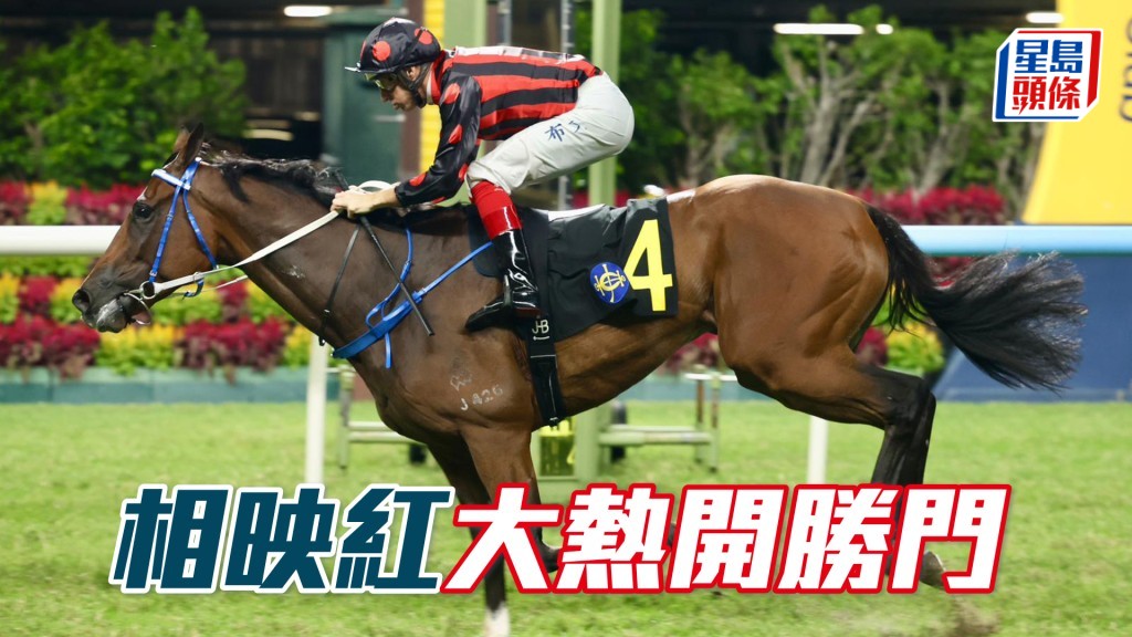 「相映紅」大熱開勝門