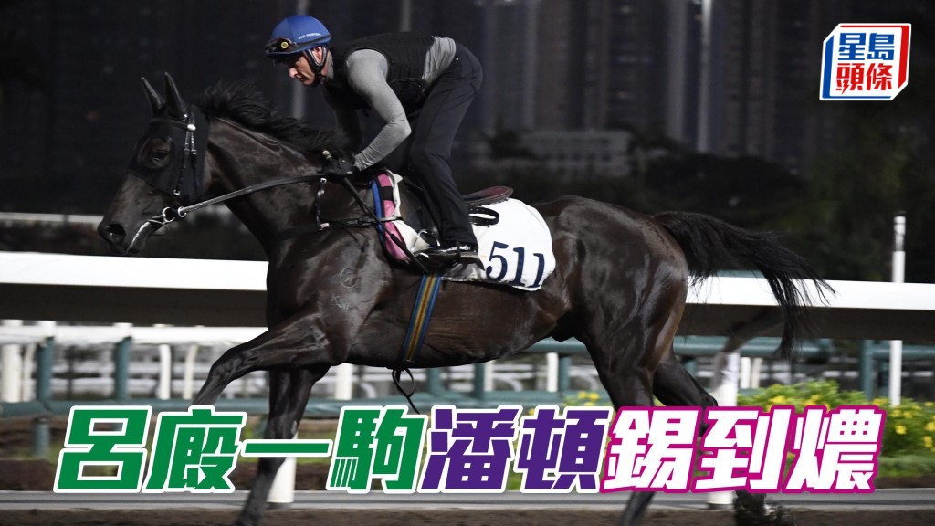 潘頓錫到「開心三寶」(圖) 燶,三課大閘悉數親身出試,並且每課都交出好走勢,到了昨朝試跑也親身考驗,六點到場立即出跳。